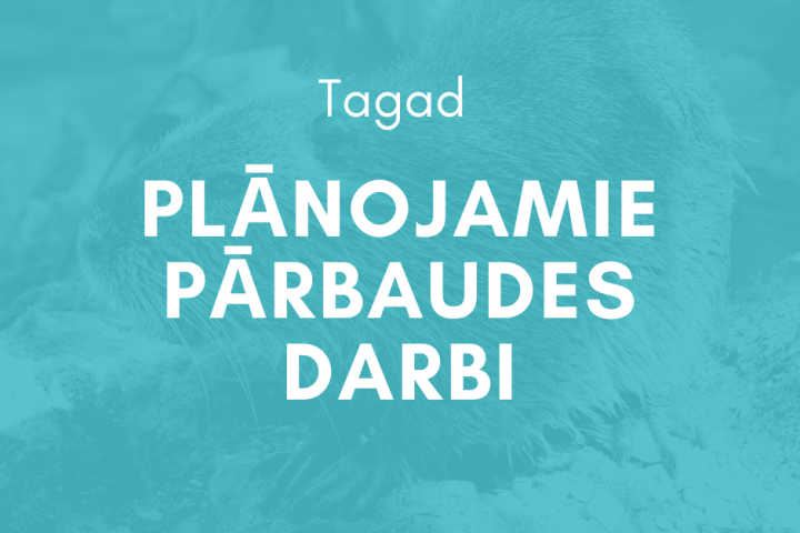 Pārbaudes darbu plāns e-klasē