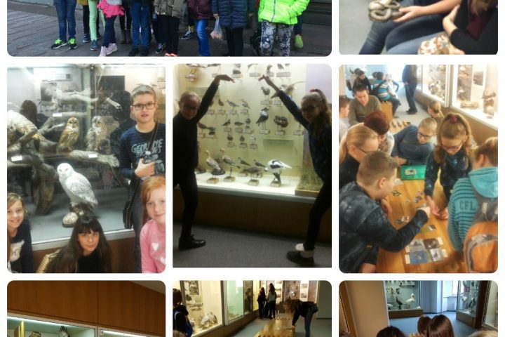 “Latvijas skolas soma” 5.a, 5. b un 5.c klases